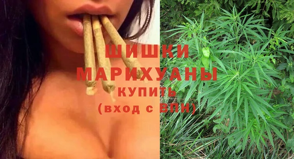 молекула духа Костерёво