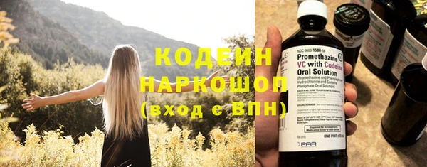 молекула духа Костерёво