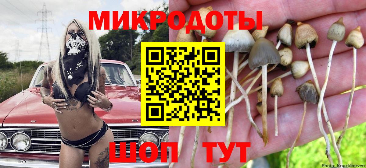 Псилоцибиновые грибы Magic Shrooms Кумертау